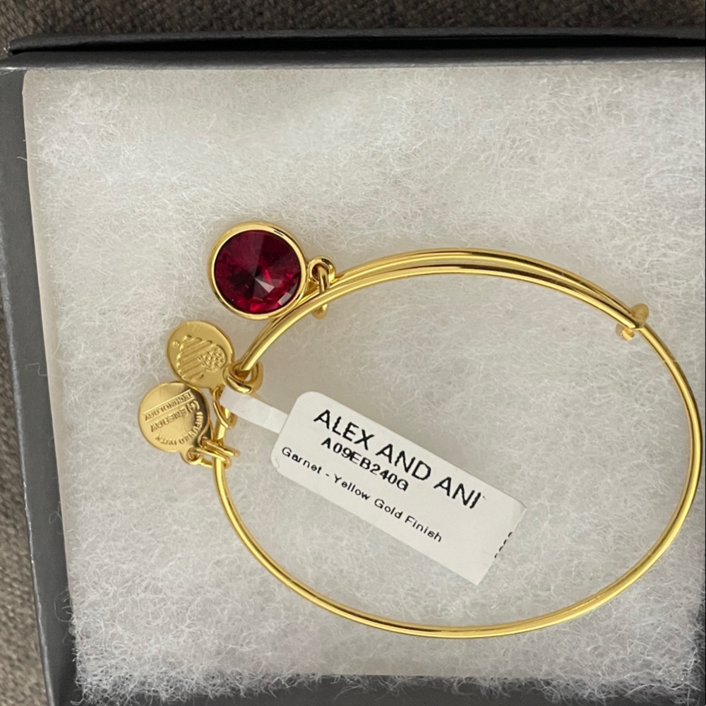 Alex and Ani Yellow Gold Finish Bracelet with Garnet Charm
